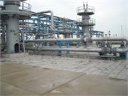 Banatski dvor slika09